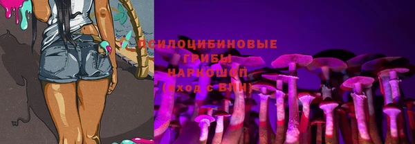 винт Балахна