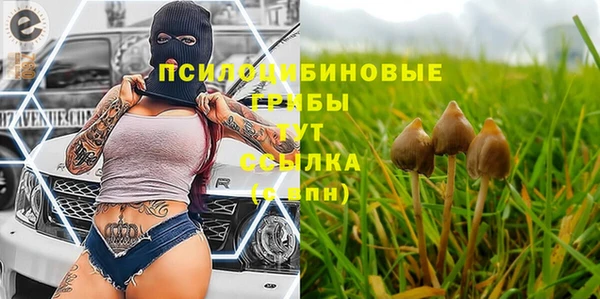 винт Балахна
