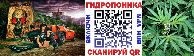 купить наркоту  Североморск  Марихуана марихуана 